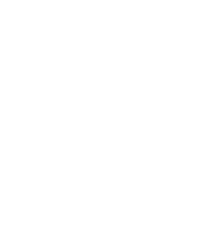 VSP-SAS-Securite-Gardiennage-Paris-75-Ile-de-France-94-91-92-White